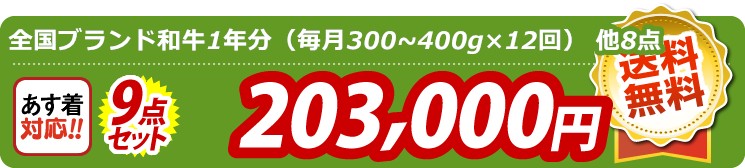 【目玉：全国ブランド和牛1年分（毎月300~400g×12回）】9点セット 9点セット 203000円