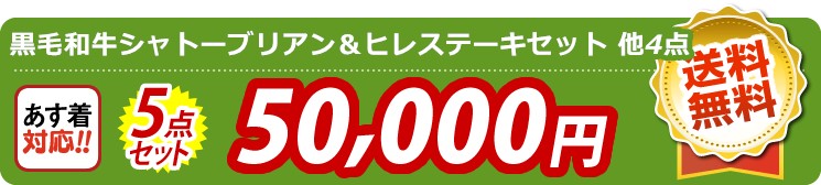 【目玉：黒毛和牛シャトーブリアン＆ヒレステーキセット】5点セット 5点セット 50000円