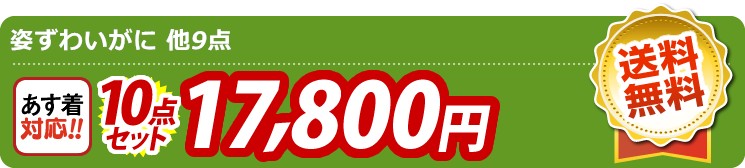 【目玉：姿ずわいがに】10点セット 10点セット 17800円