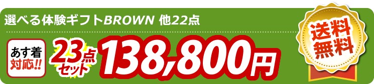【目玉：選べる体験ギフトBROWN】23点セット 23点セット 138800円