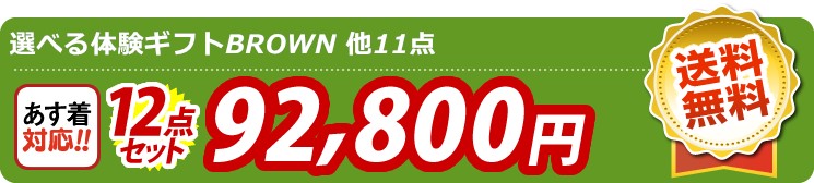 【目玉：選べる体験ギフトBROWN】12点セット 12点セット 92800円