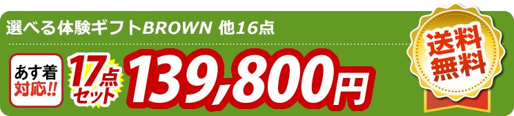 【目玉：選べる体験ギフトBROWN】17点セット 17点セット 139800円