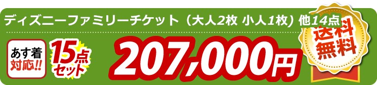【目玉：ディズニーファミリーチケット（大人2枚 小人1枚)】15点セット 15点セット 207000円