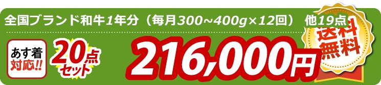 【目玉：全国ブランド和牛1年分（毎月300~400g×12回）】20点セット 20点セット 216000円
