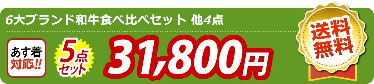 【目玉：6大ブランド和牛食べ比べセット】5点セット 5点セット 31800円