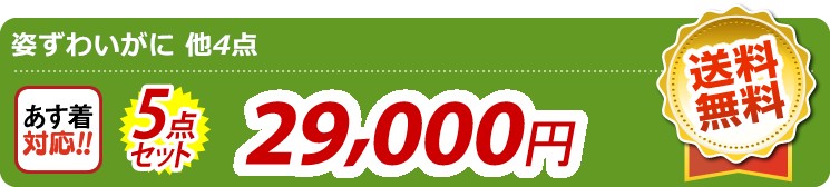 【目玉：姿ずわいがに】5点セット 5点セット 29000円