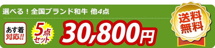 【目玉：選べる！全国ブランド和牛】5点セット 5点セット 30800円