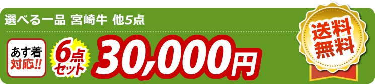 【目玉：選べる一品 宮崎牛】6点セット 6点セット 30000円