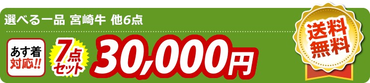 【目玉：選べる一品 宮崎牛】7点セット 7点セット 30000円