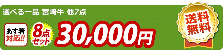 【目玉：選べる一品 宮崎牛】8点セット 8点セット 30000円