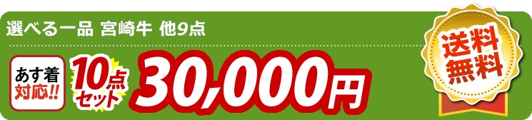 【目玉：選べる一品 宮崎牛】10点セット 10点セット 30000円