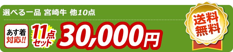 【目玉：選べる一品 宮崎牛】11点セット 11点セット 30000円