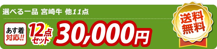 【目玉：選べる一品 宮崎牛】12点セット 12点セット 30000円