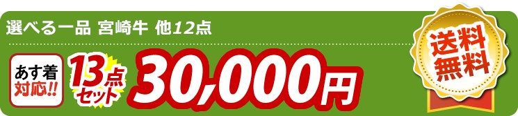 【目玉：選べる一品 宮崎牛】13点セット 13点セット 30000円