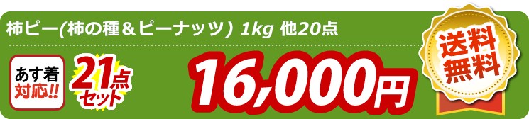 【目玉：柿ピー(柿の種＆ピーナッツ) 1kg】21点セット 21点セット 16000円