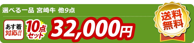 【目玉：選べる一品 宮崎牛】10点セット 10点セット 32000円