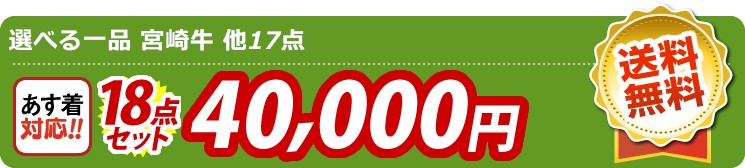 【目玉：選べる一品 宮崎牛】18点セット 18点セット 40000円
