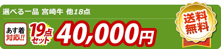 【目玉：選べる一品 宮崎牛】19点セット 19点セット 40000円