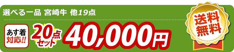 【目玉：選べる一品 宮崎牛】20点セット 20点セット 40000円