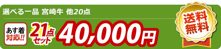 【目玉：選べる一品 宮崎牛】21点セット 21点セット 40000円