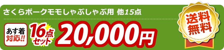 【目玉：国産黒毛和牛前バラすき焼き用300g】16点セット 16点セット 20000円