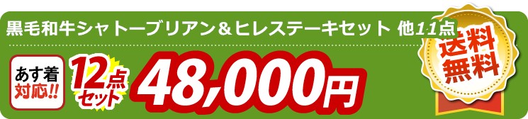【目玉：黒毛和牛シャトーブリアン＆ヒレステーキセット】12点セット 12点セット 48000円