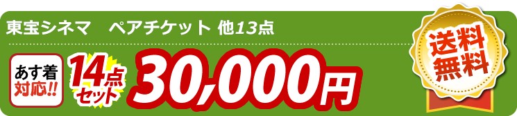 【目玉：東宝シネマ　ペアチケット】14点セット 14点セット 30000円