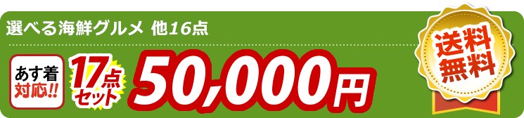 【目玉：選べる海鮮グルメ】17点セット 17点セット 50000円