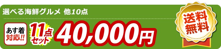 【目玉：選べる海鮮グルメ】11点セット 11点セット 40000円