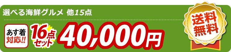 【目玉：選べる海鮮グルメ】16点セット 16点セット 40000円