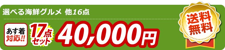【目玉：選べる海鮮グルメ】17点セット 17点セット 40000円