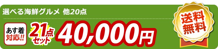 【目玉：選べる海鮮グルメ】21点セット 21点セット 40000円
