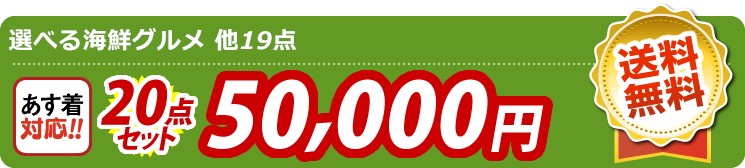 【目玉：選べる海鮮グルメ】21点セット 20点セット 50000円