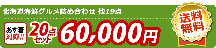【目玉：北海道海鮮グルメ詰め合わせ】20点セット 20点セット 60000円