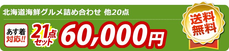 【目玉：北海道海鮮グルメ詰め合わせ】21点セット 21点セット 60000円
