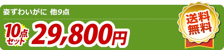 【目玉:姿ずわいがに】10点セット 10点セット 29800円