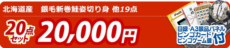 【目玉:北海道産　銀毛新巻鮭姿切り身】20点セット 20点セット 20000円