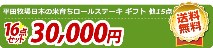 【目玉:やわらかハラミ味噌ダレ漬1kg】16点セット 16点セット 30000円