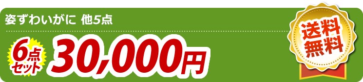 【目玉:姿ずわいがに】6点セット 6点セット 30000円