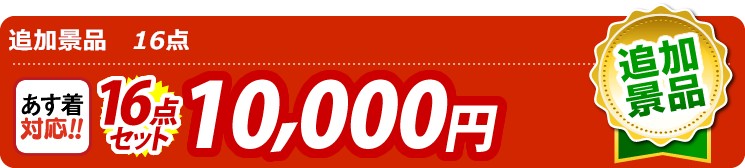 【目玉：海の幸詰合せ（鮭茶漬け＆甘海老のみそ汁）】16点セット 16点セット 10000円