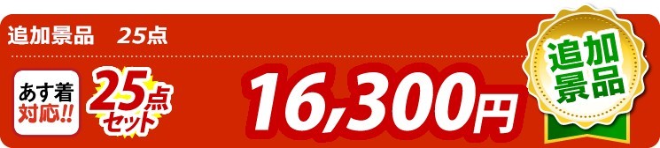 【目玉：スターバックス コーヒーアソートギフト】25点セット 25点セット 16300円