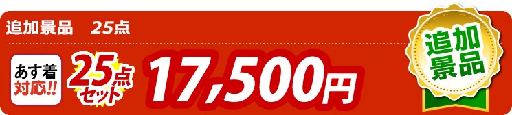 【目玉：スターバックス コーヒーアソートギフト】25点セット 25点セット 17500円