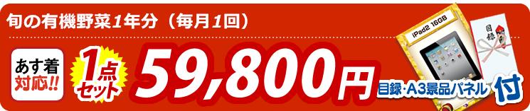 【目玉:旬の有機野菜1年分(毎月1回)】1点セット 1点セット 59800円