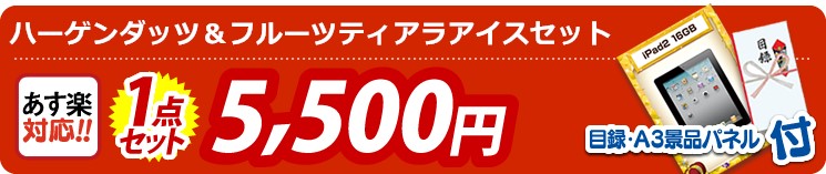 【単品:ハーゲンダッツ&フルーツティアラアイスセット】 1点セット 5500円
