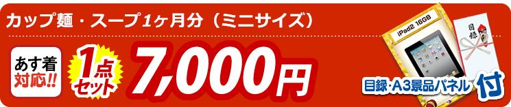 【目玉:カップ麺・スープ1ヶ月分(ミニサイズ)】1点セット 1点セット 7000円