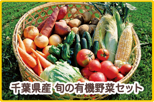 千葉県産　旬の有機野菜セット